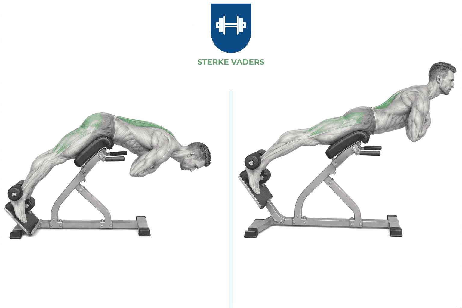 Back Extensions uitvoering stap voor stap