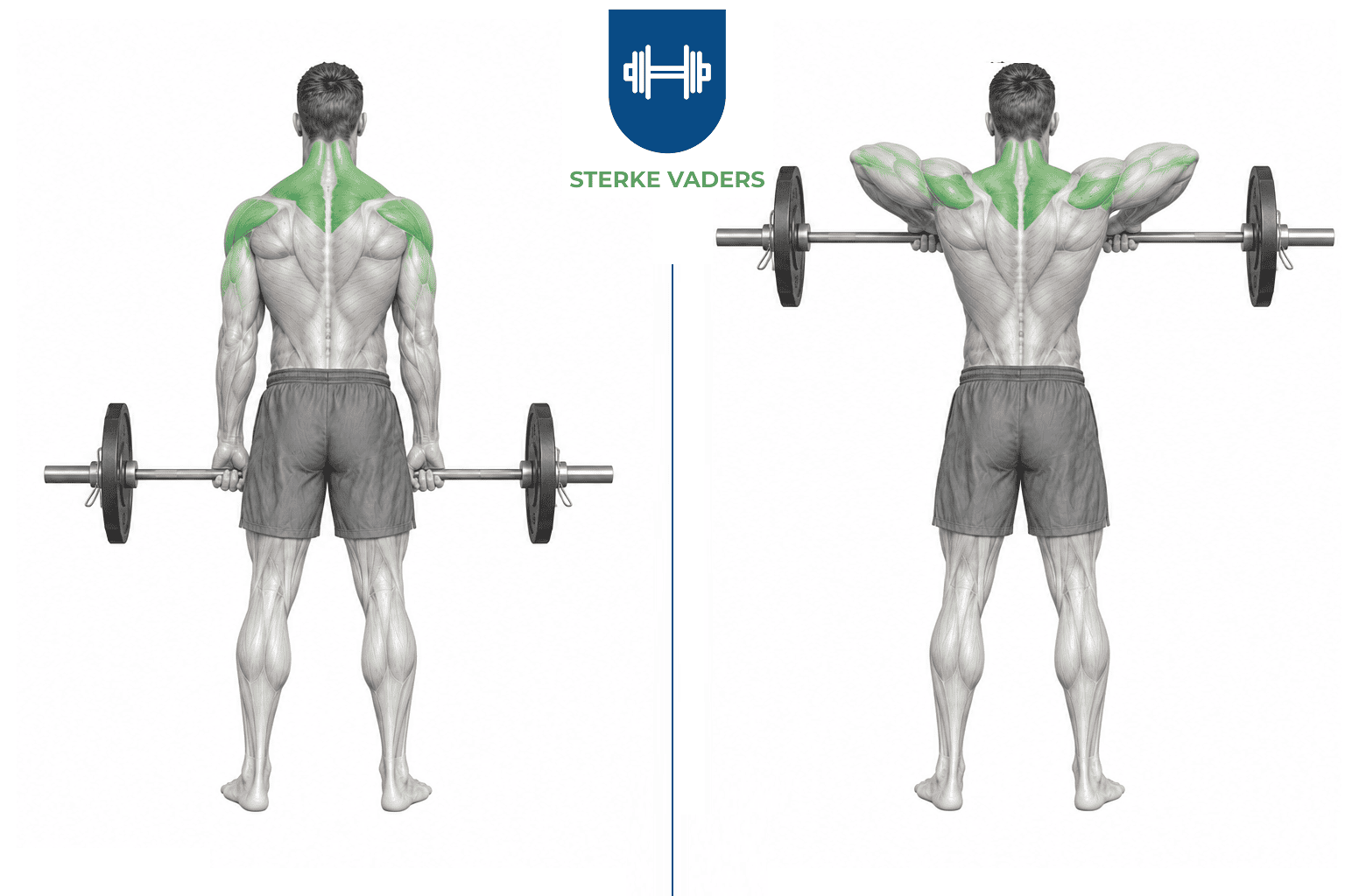 Barbell Upright Row uitvoering stap voor stap