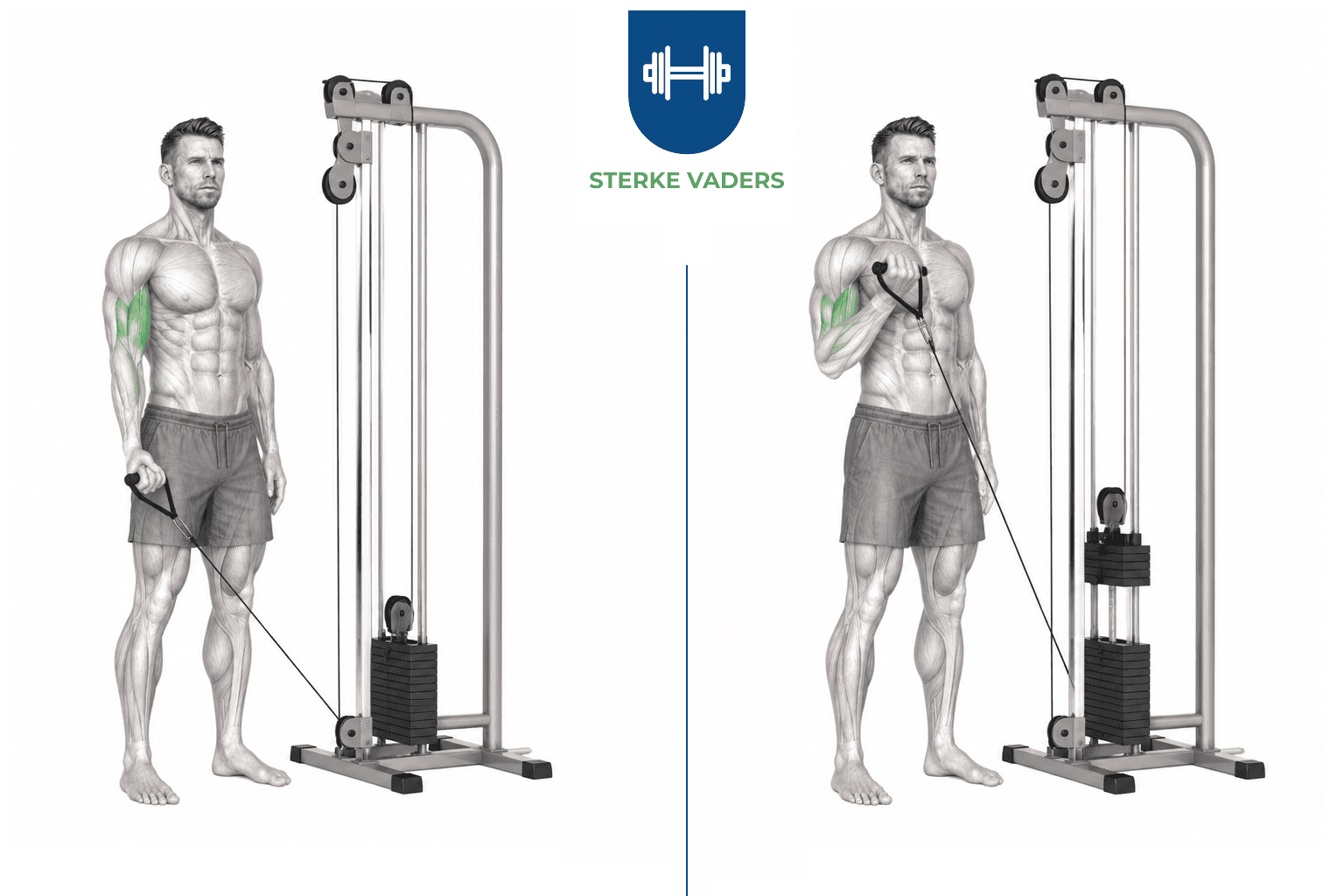 Bicep Kabel Curl uitvoering stap voor stap