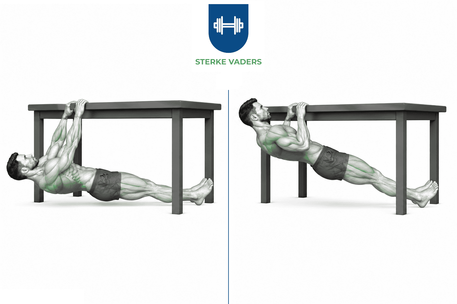Bodyweight Rows uitvoering stap voor stap