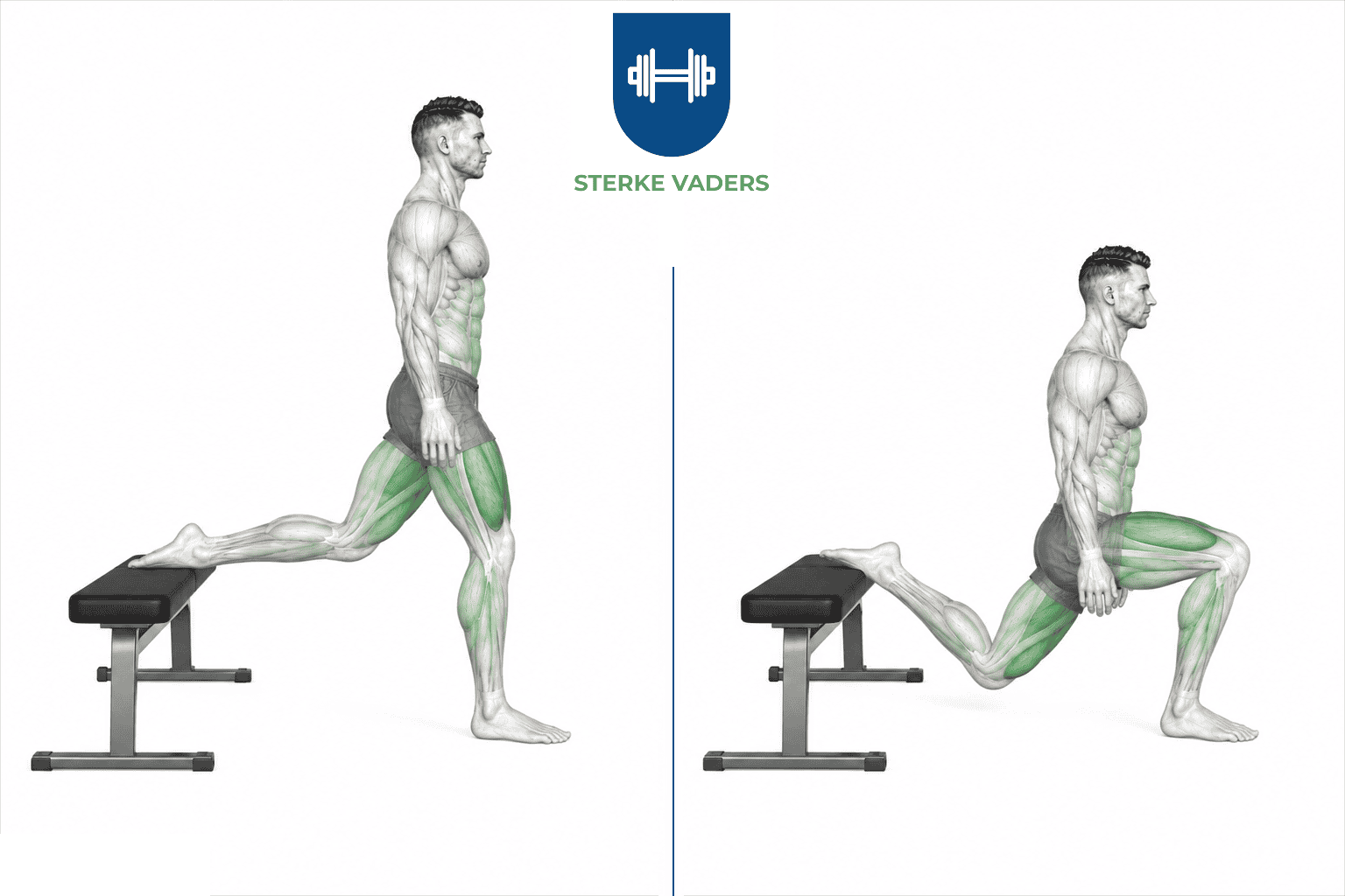 Bulgarian Split Squat uitvoering stap voor stap