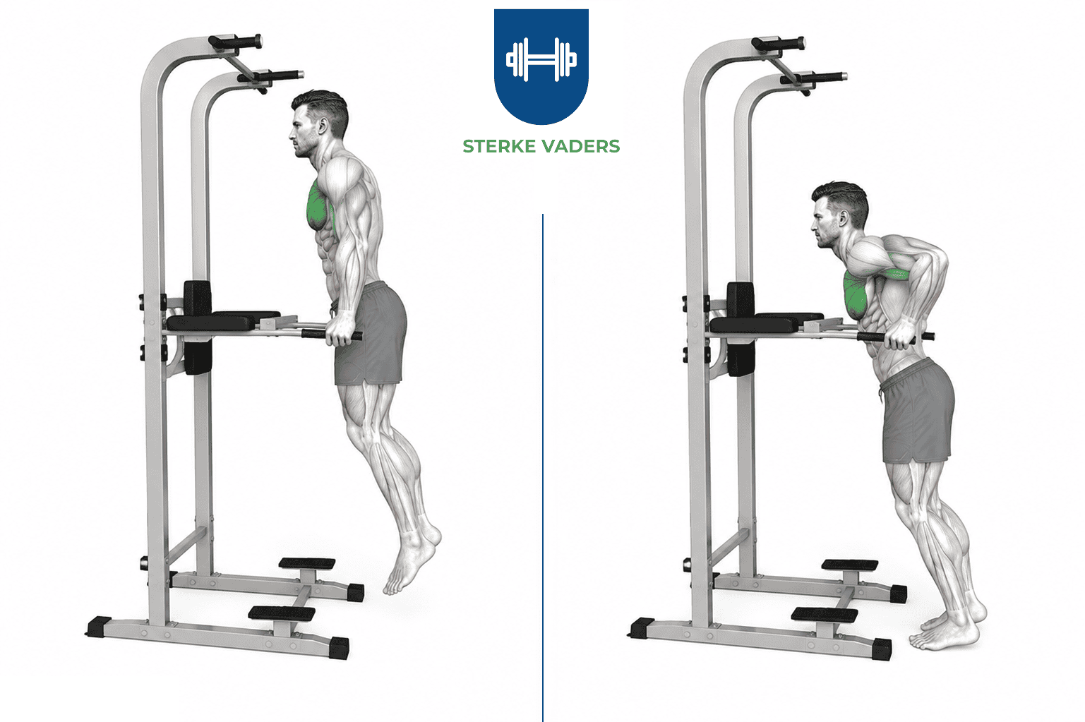 Chest Dips uitvoering stap voor stap