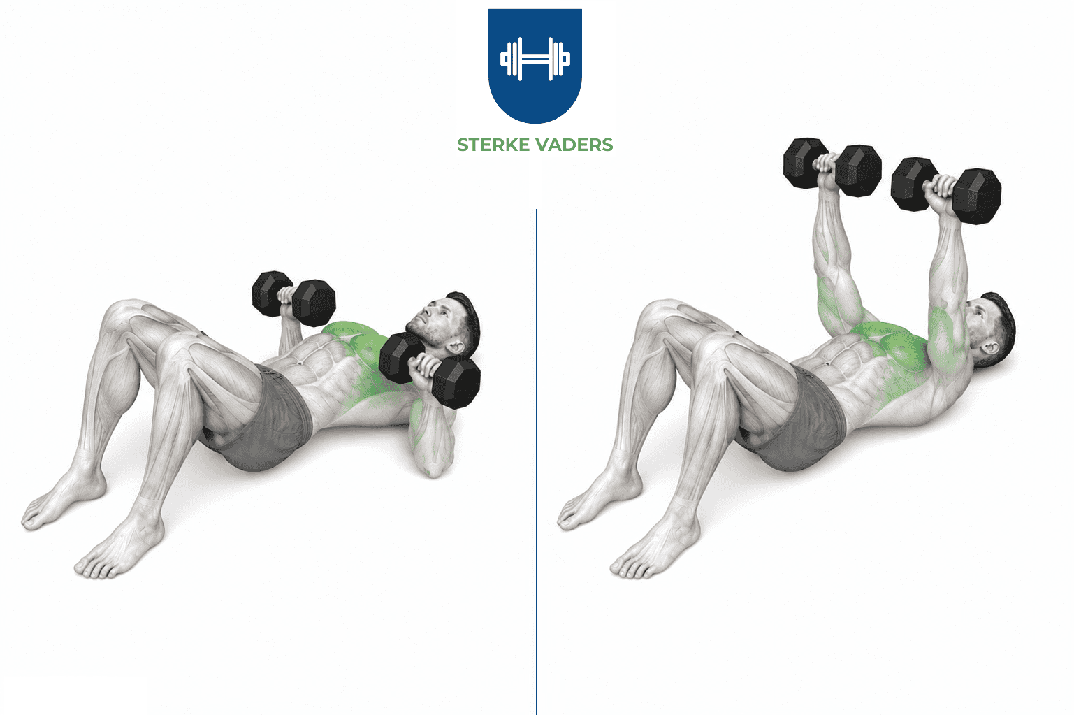 Dumbbell Floor Press uitvoering stap voor stap