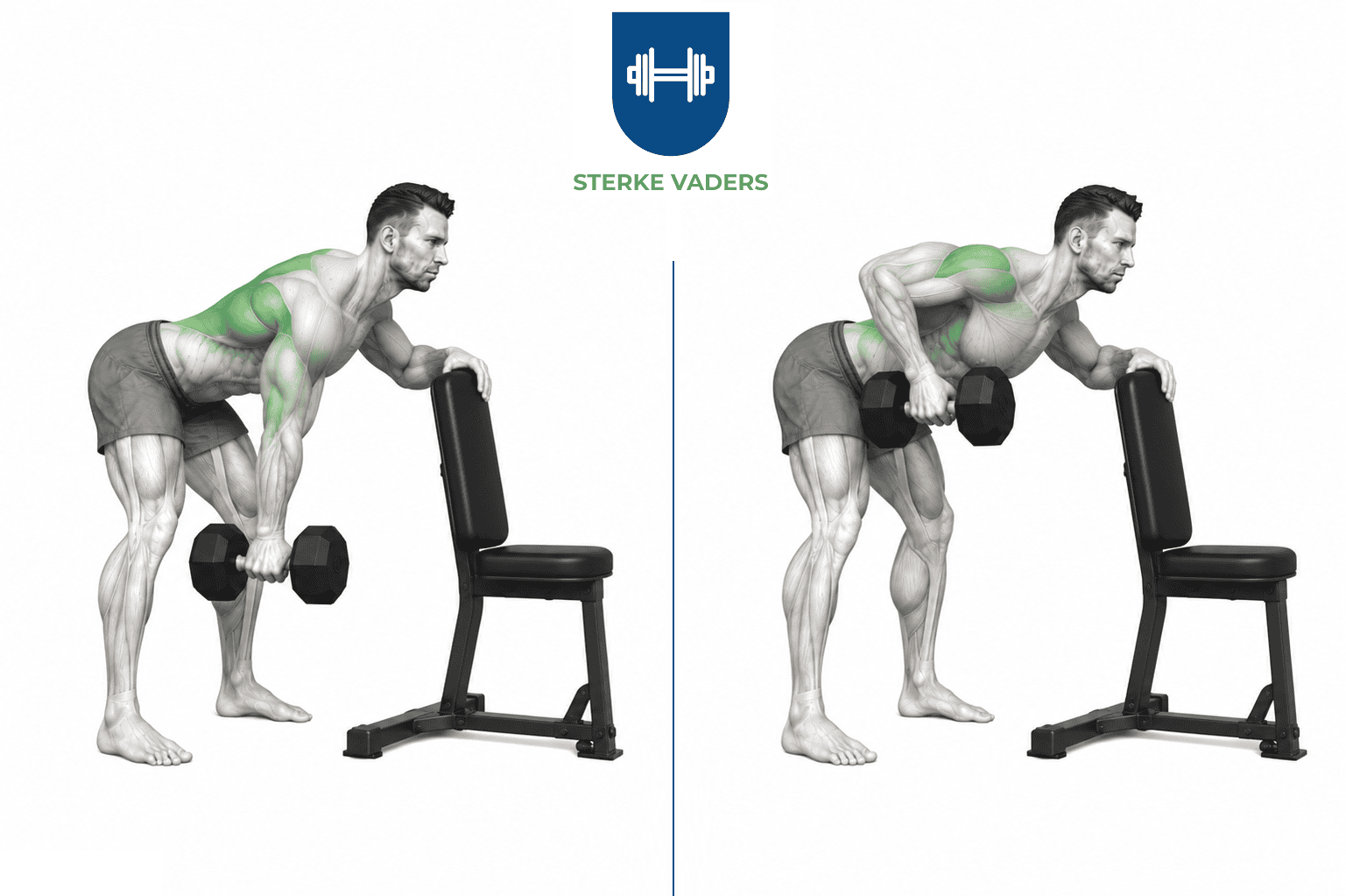Dumbbell Kroc Row uitvoering stap voor stap
