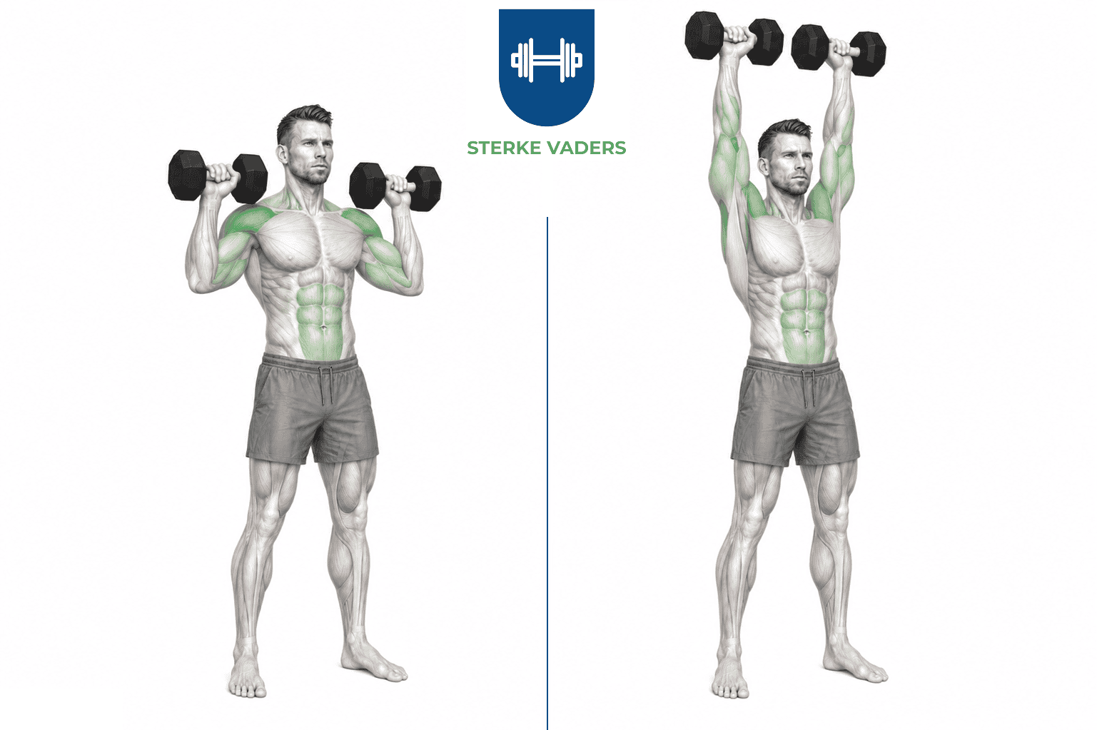 Dumbbell Overhead Press Staand uitvoering stap voor stap