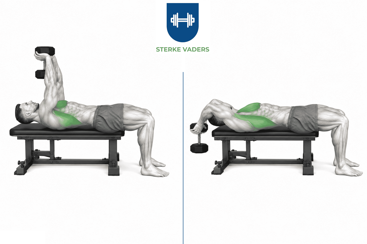 Dumbbell Pullover uitvoering stap voor stap