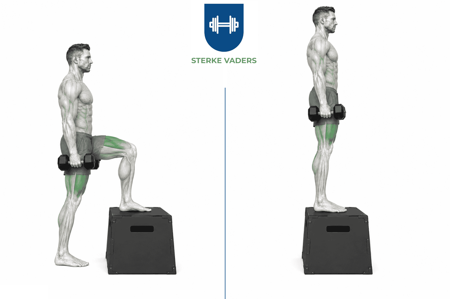 Dumbbell Step-ups uitvoering stap voor stap
