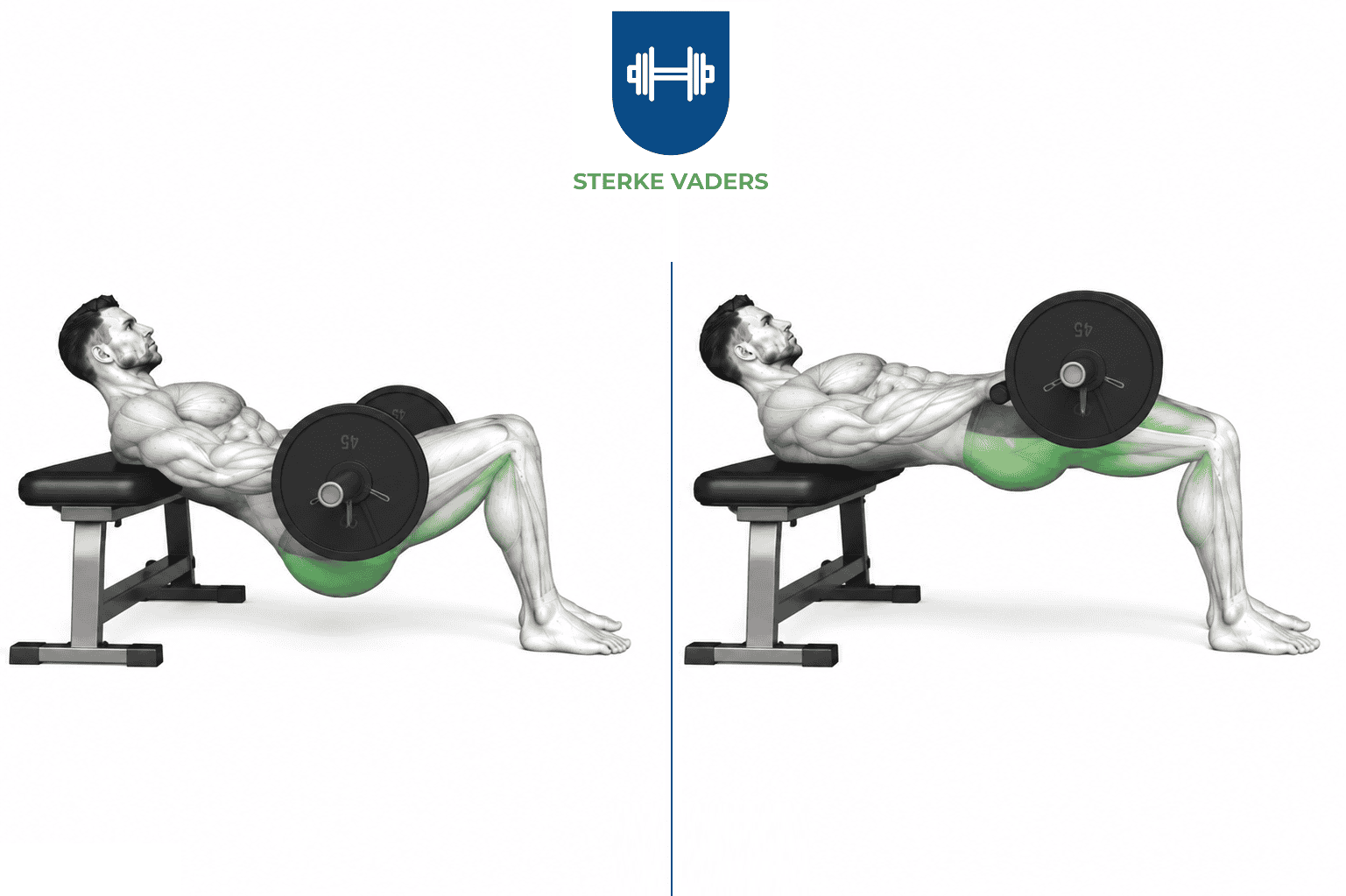 Hip Thrust met Barbell uitvoering stap voor stap