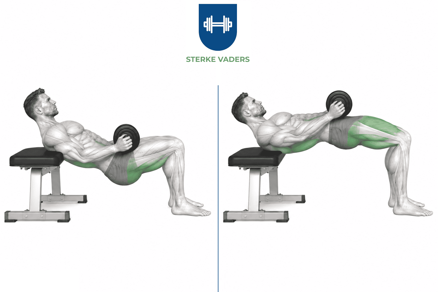 Hip Thrust met Dumbbell uitvoering stap voor stap