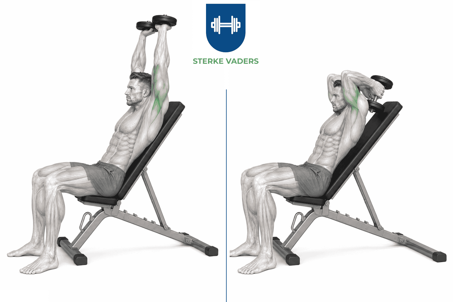 Incline Dumbbell Tricep Extension uitvoering stap voor stap