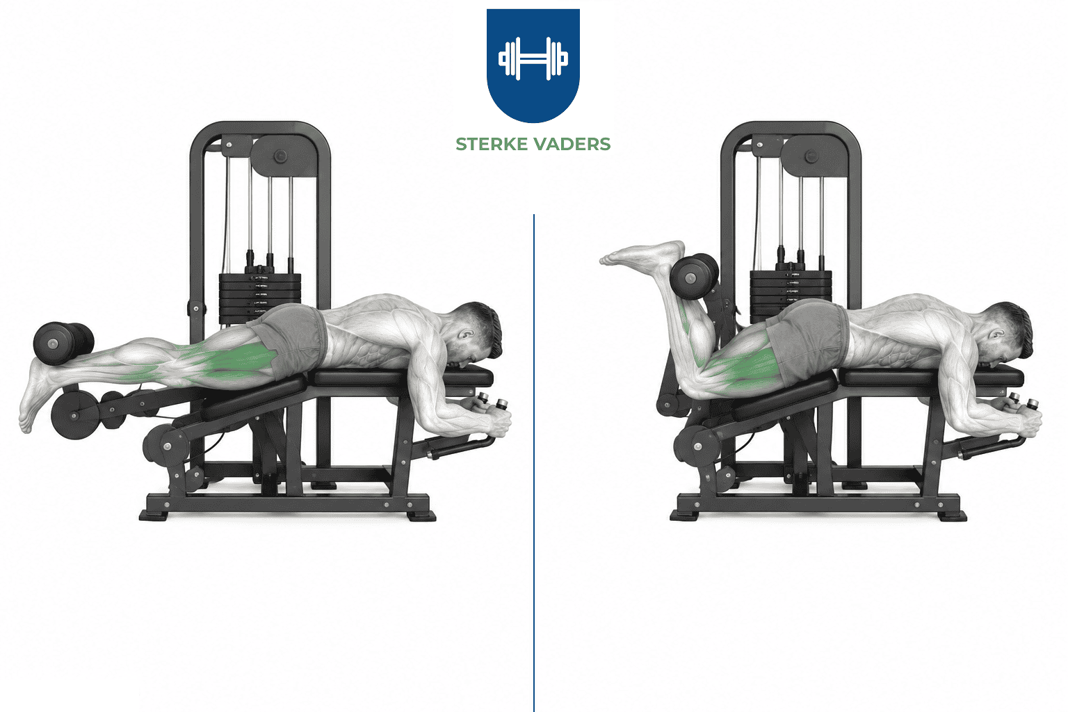 Leg Curl Machine uitvoering stap voor stap