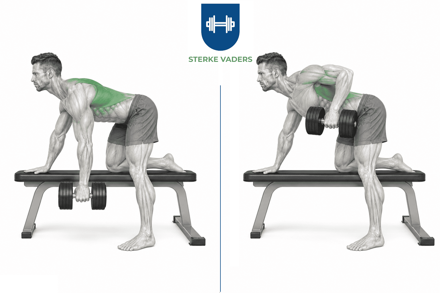 One Arm Dumbbell Row uitvoering stap voor stap
