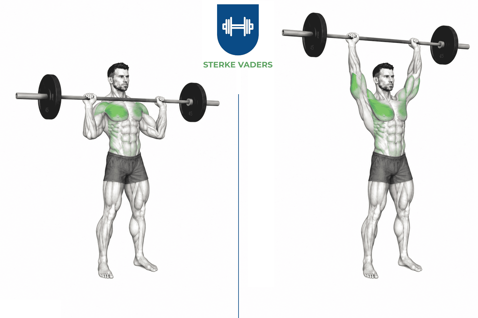 Overhead Press Stang Staand uitvoering stap voor stap