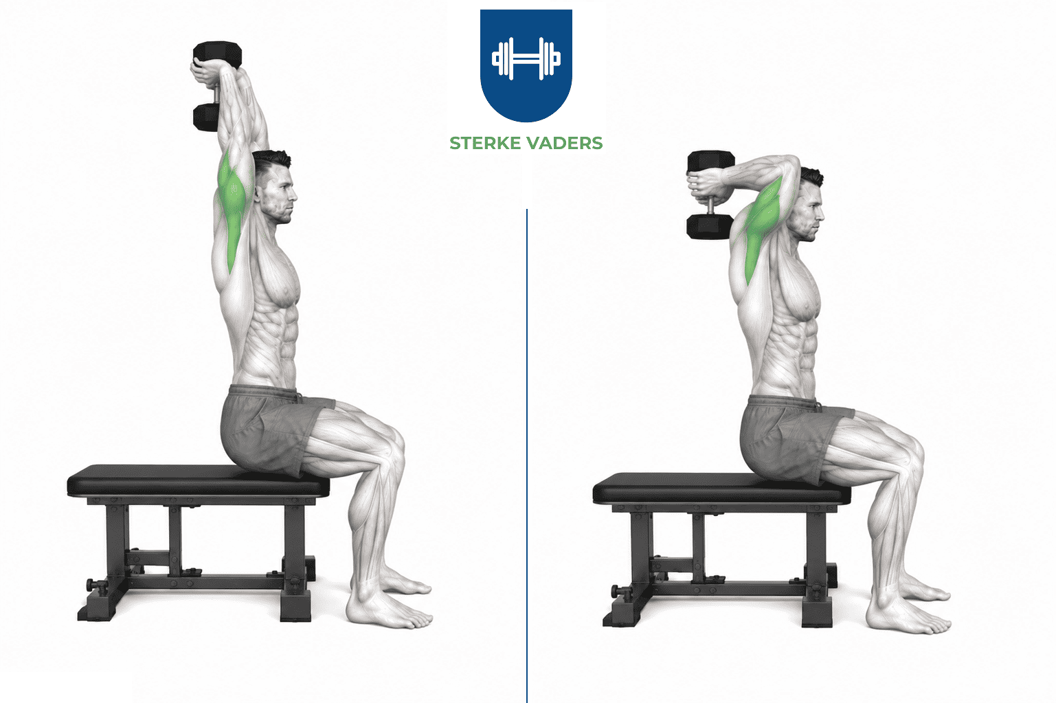 Overhead Tricep Extension uitvoering stap voor stap
