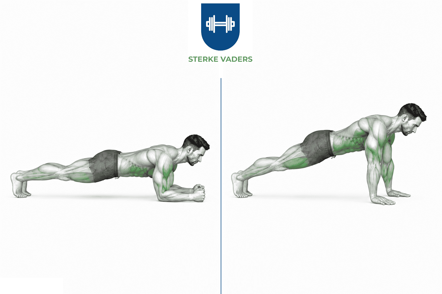 Plank to Push-up uitvoering stap voor stap