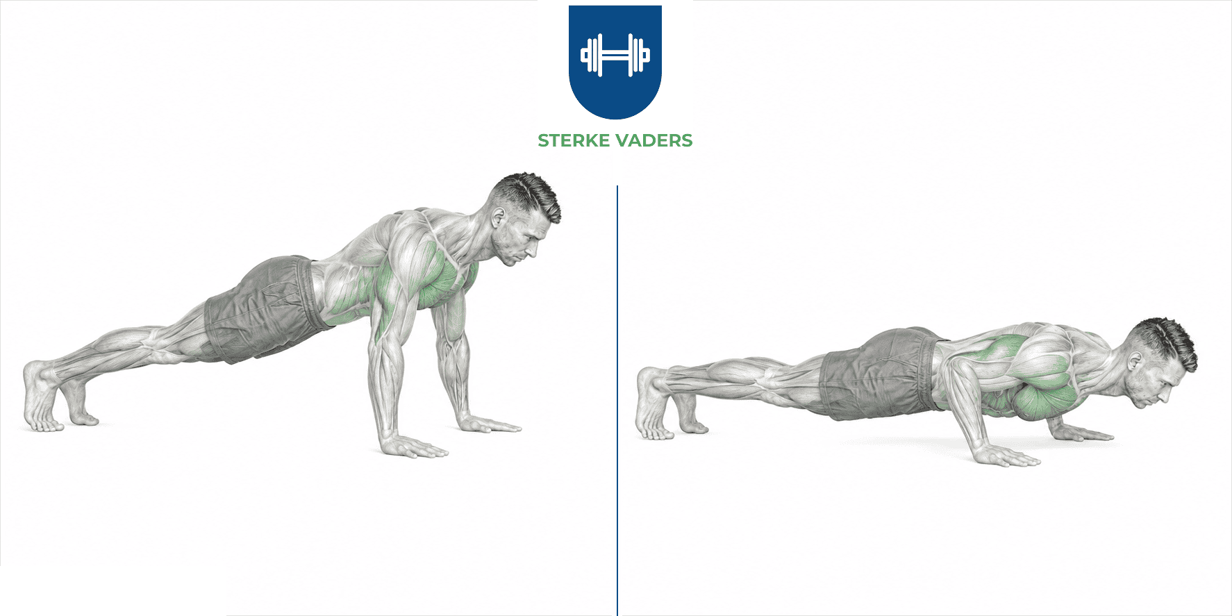 Push-ups uitvoering stap voor stap