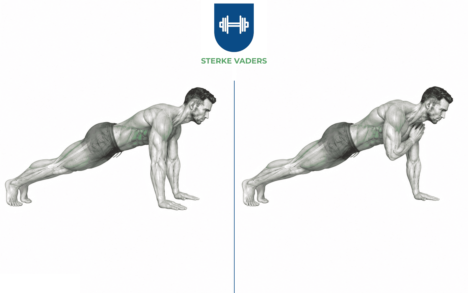 Shoulder Taps in Plank uitvoering stap voor stap