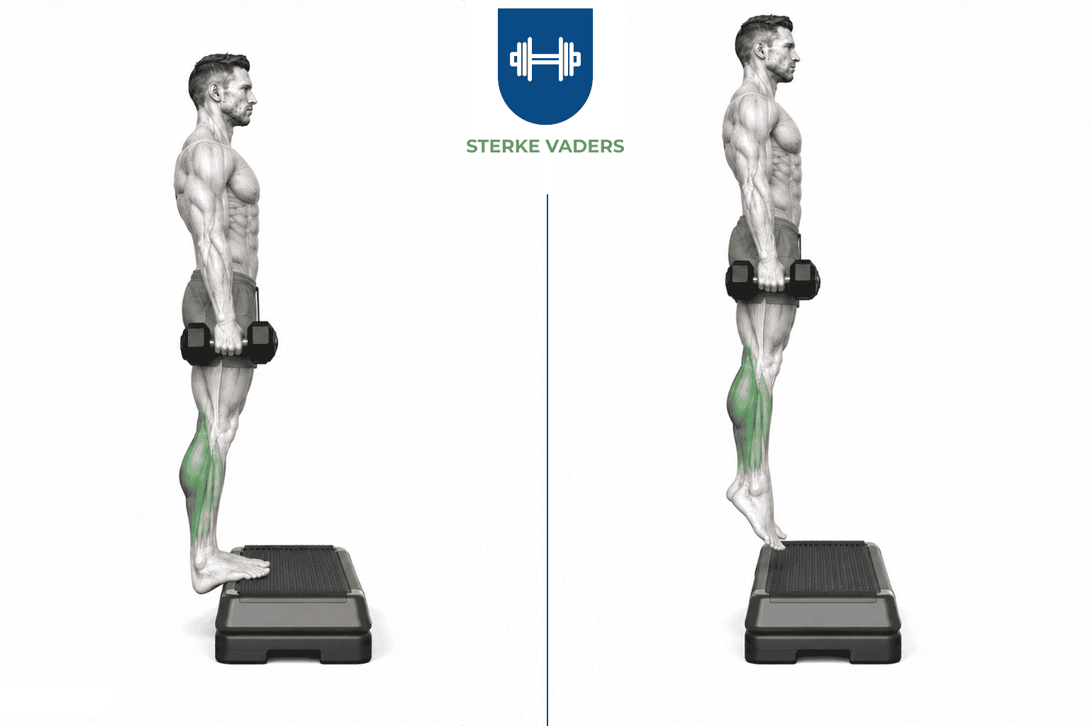 Standing Dumbbell Calf Raise uitvoering stap voor stap
