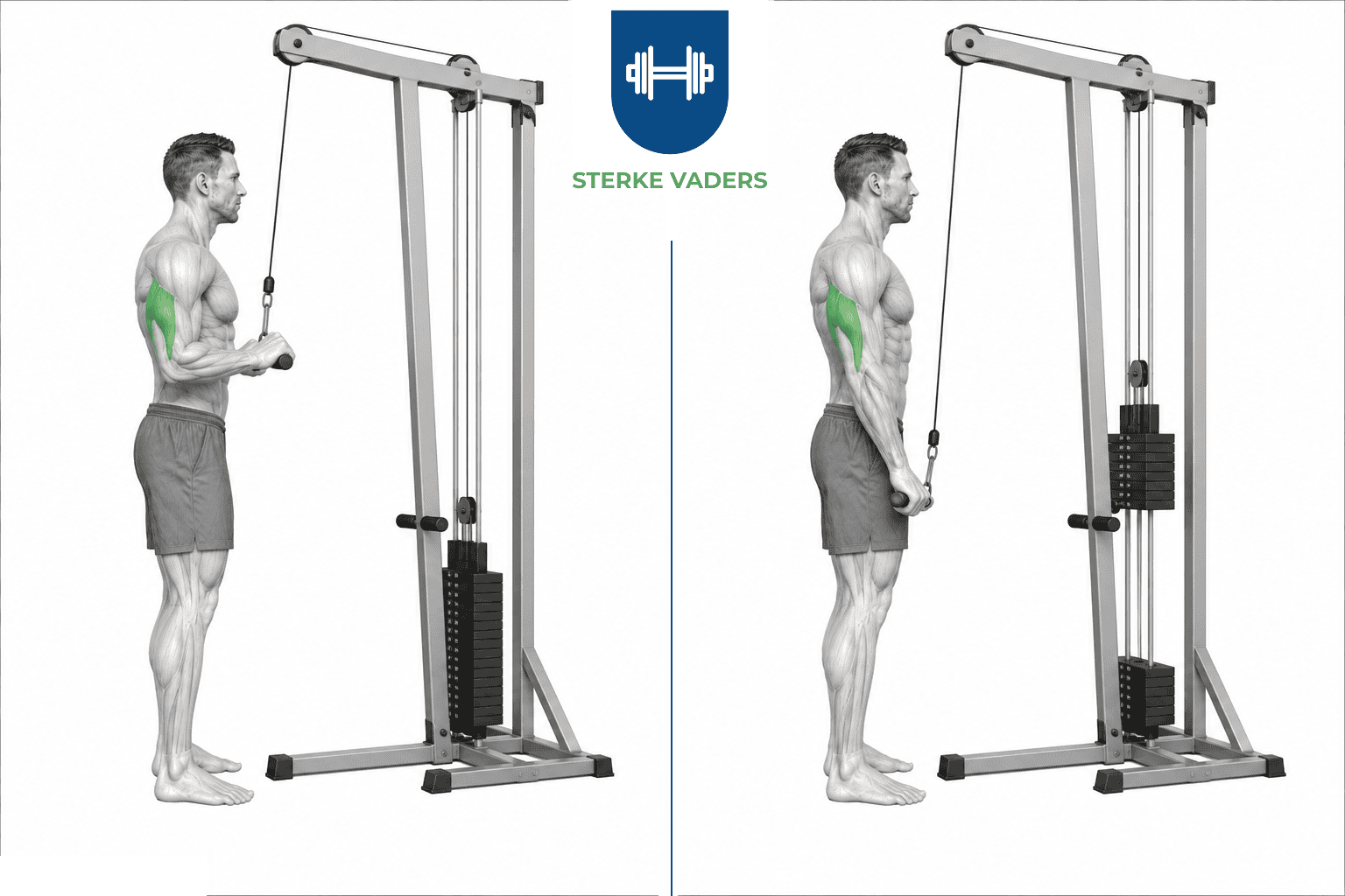 Tricep Pushdown uitvoering stap voor stap