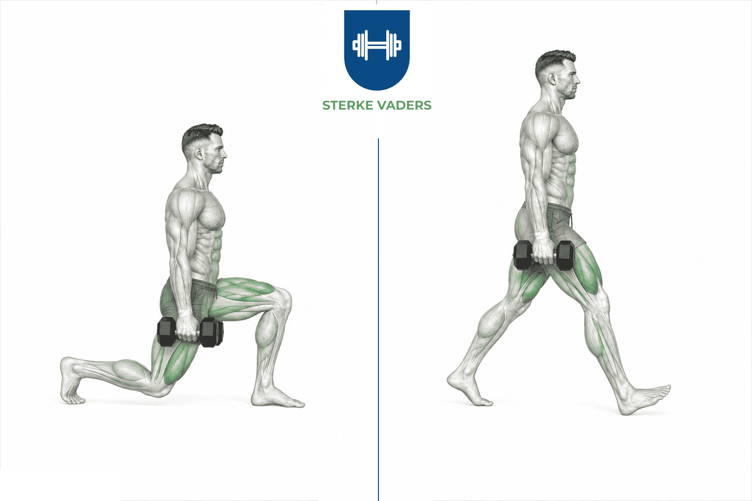 Walking Dumbbell Lunges uitvoering stap voor stap