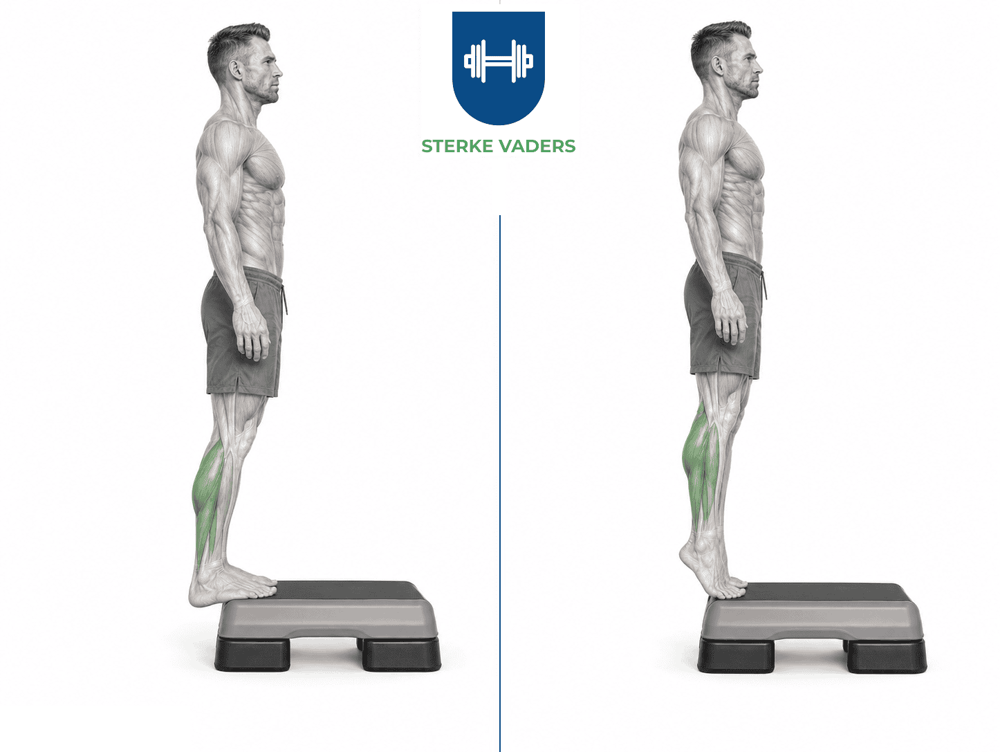 Calf Raise op Traptrede uitvoering stap voor stap