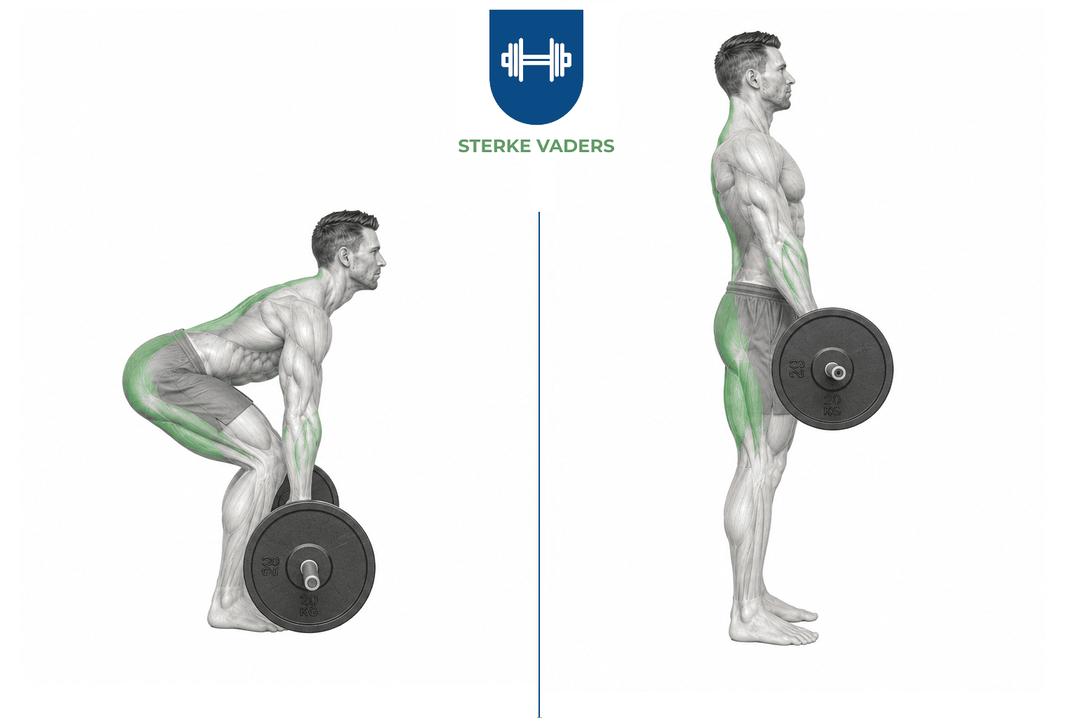 Deadlift uitvoering stap voor stap