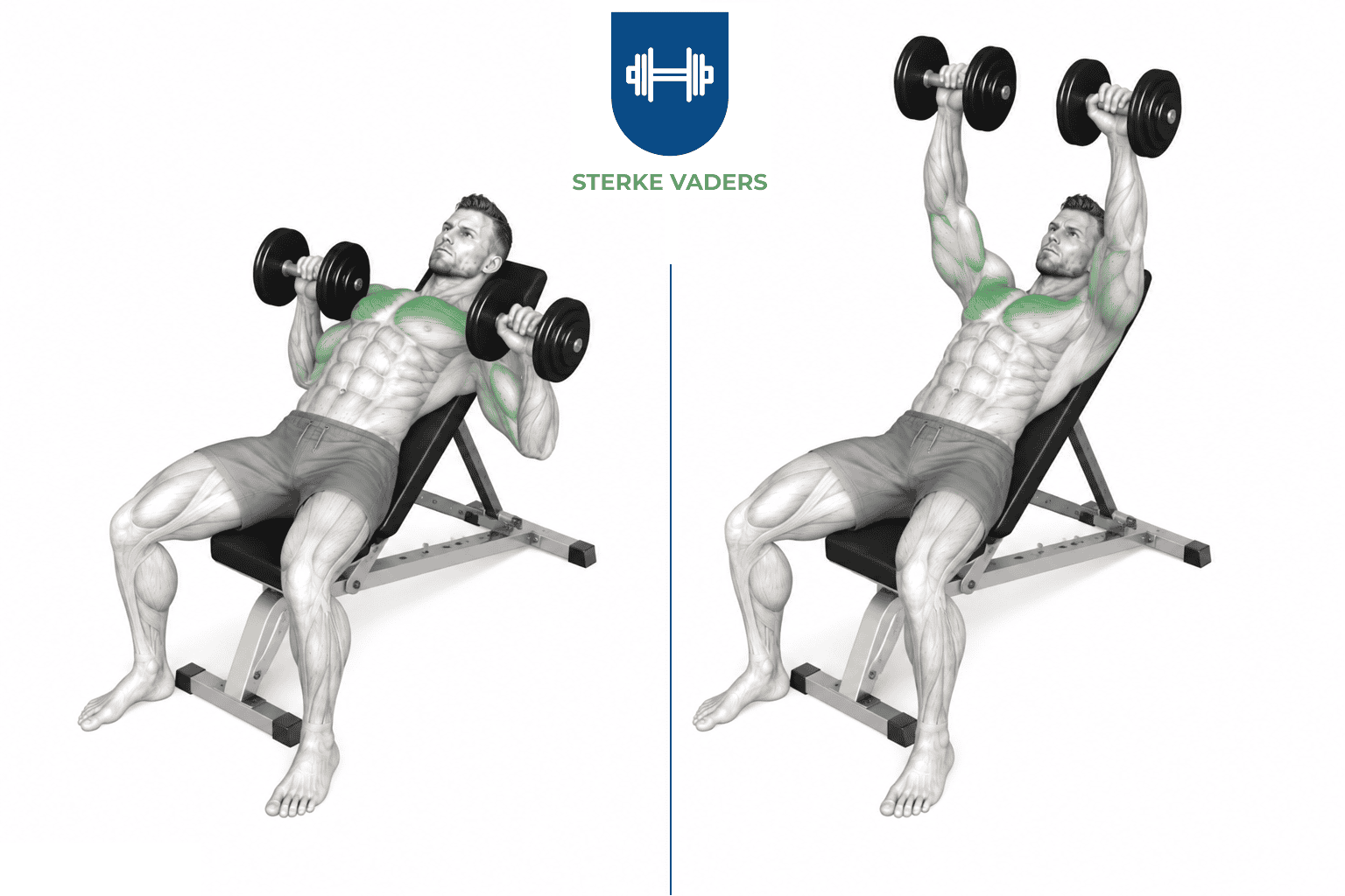 Incline Dumbbell Press uitvoering stap voor stap