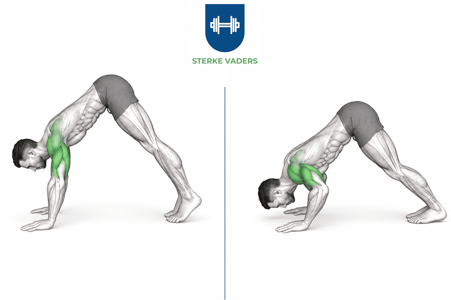 Pike Push-ups uitvoering stap voor stap